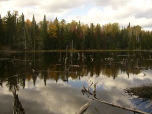 10616435_10205109254396593_1779633439637770891_n