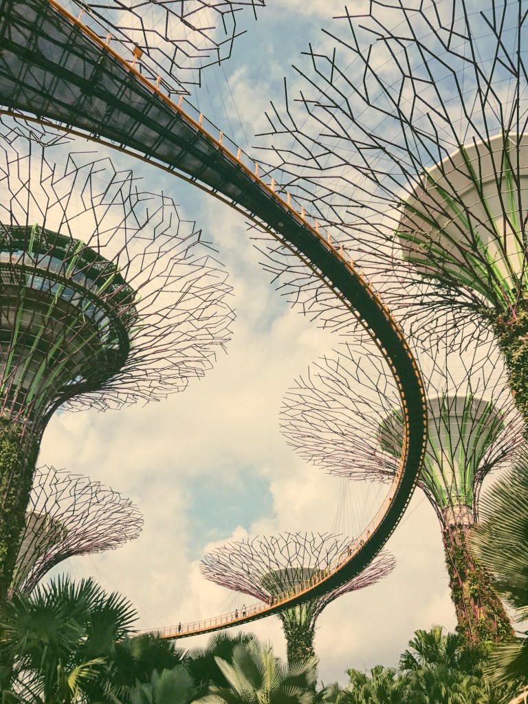 3C978B42-EF09-4824-9D51-8E508644EE33