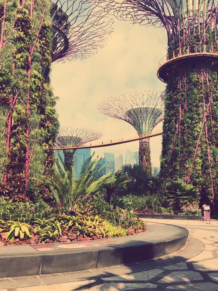 Processed with VSCO with c2 preset